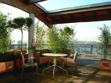 Paris Terrase